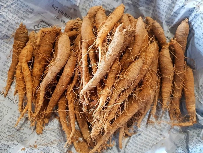  3.기침