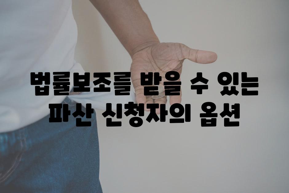 법률보조를 받을 수 있는 파산 신청자의 옵션