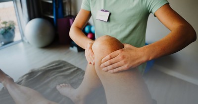 msm의_효능