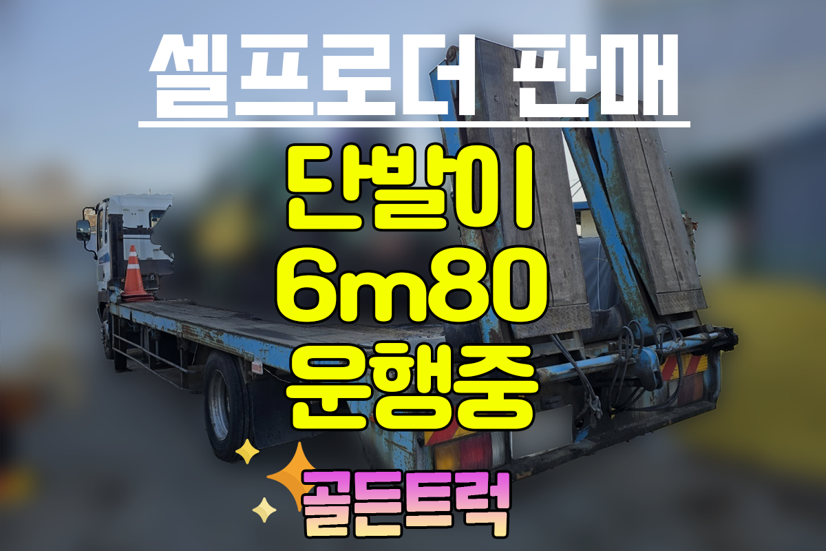 현대셀프 이미지