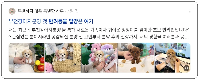 반려동물 책임감 있는 입양_2_subsection