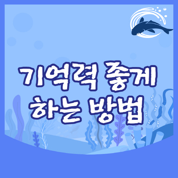 기억력-좋게-하는-방법