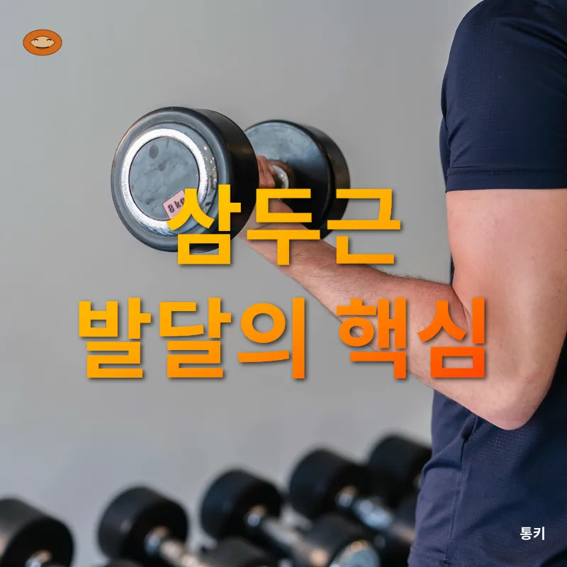 팔 운동 루틴_2