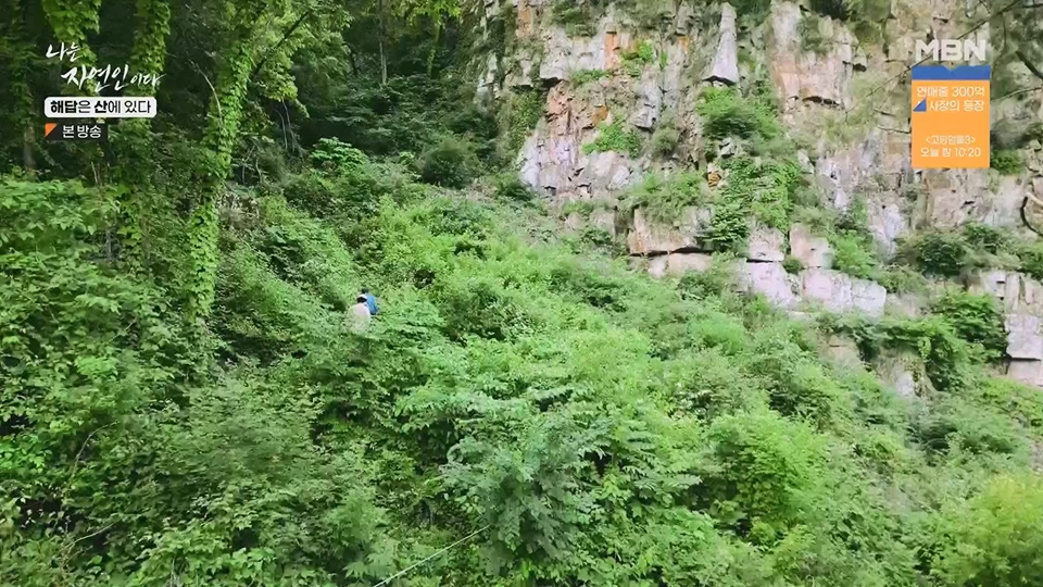 나는 자연인이다.E559.230621p.H264-F1RST.mp4_20230622_204020.011.jpg