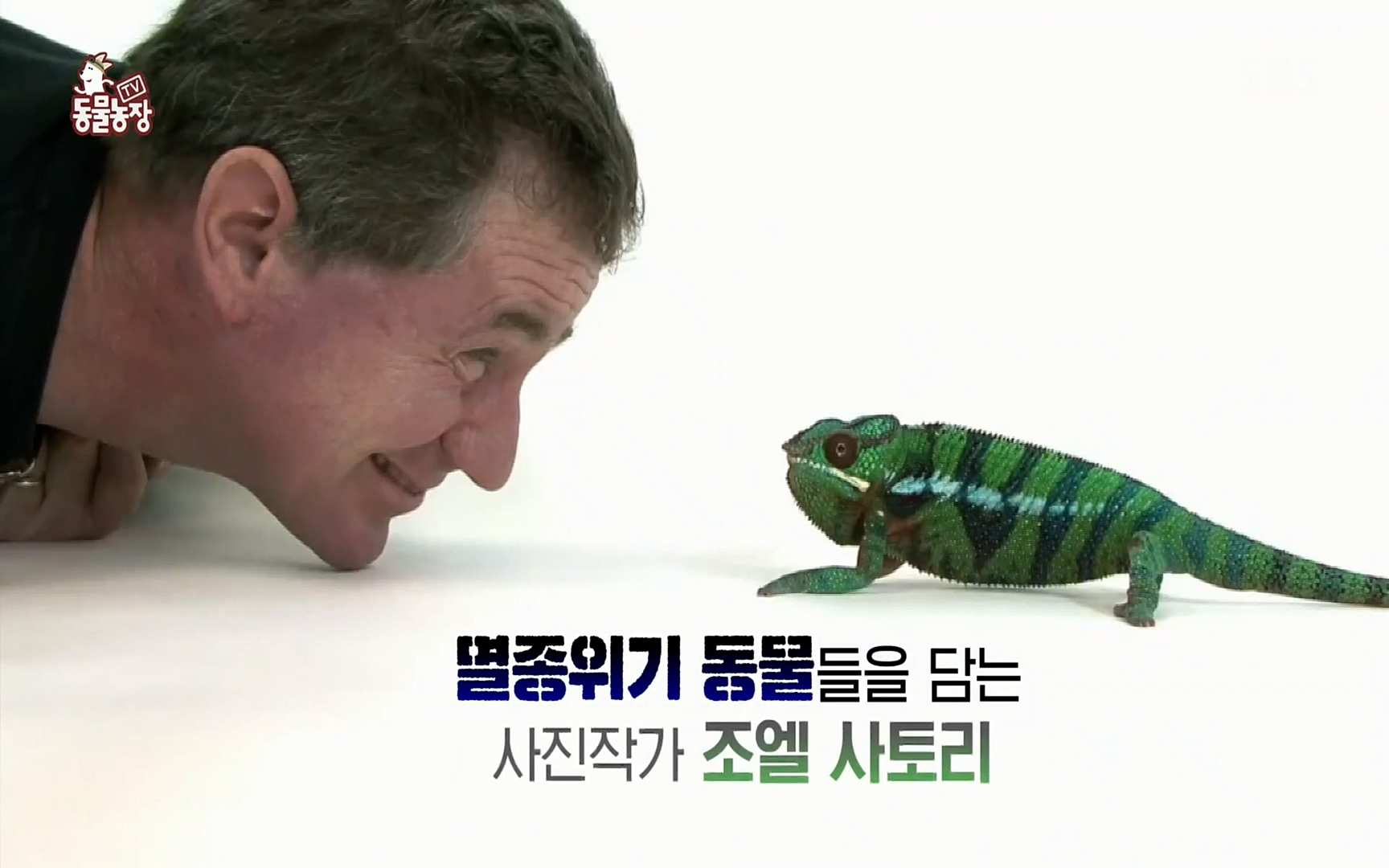 TV 동물농장.E1066.220424p.H264-F1RST.mp4_20220424_194543.829.jpg