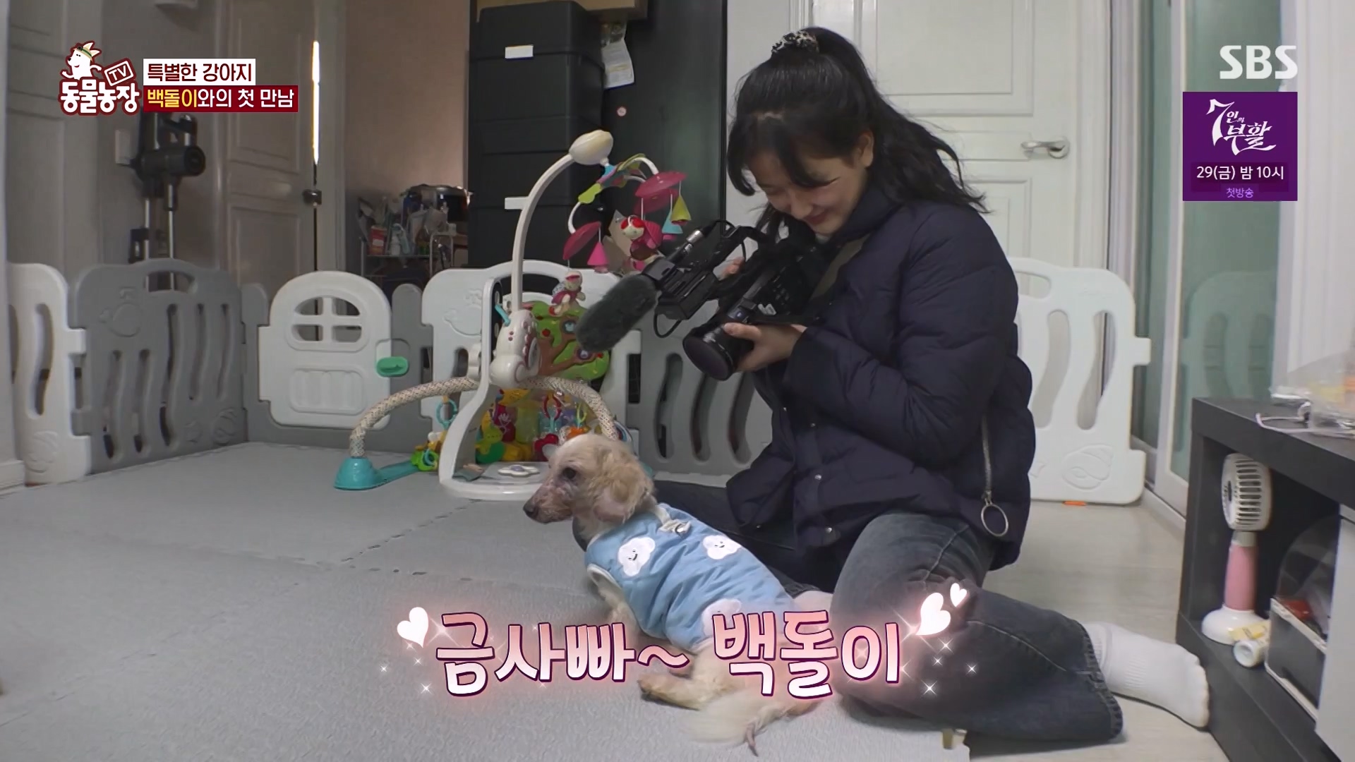 TV 동물농장.E1164.240324p-NEXT.mp4_20240324_172342.166.jpg