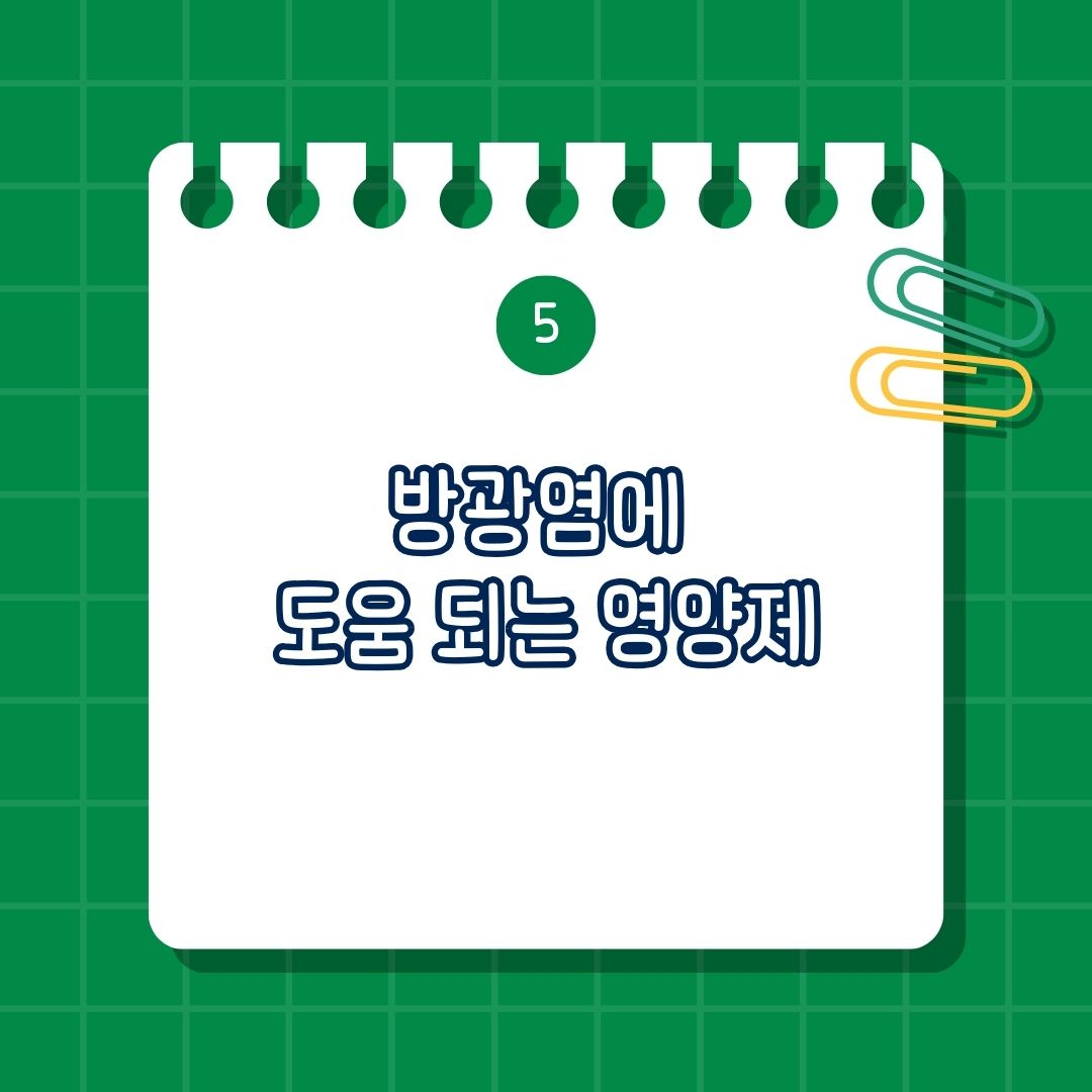 방광염 영양제, 도움 되는 영양제에는 크랜베리 추출물, 비타민C, 프로바이오틱스, D-만노스, 마그네슘