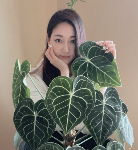 배우-김사랑/인스타그램