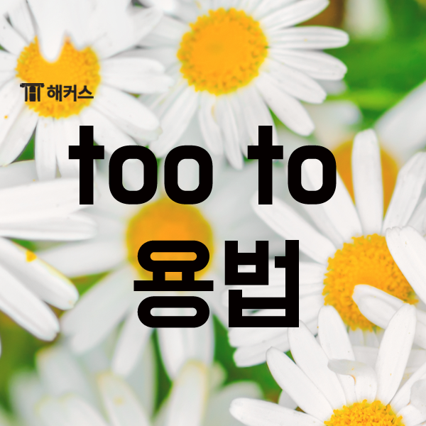  too to용법에 대해 알아보자!