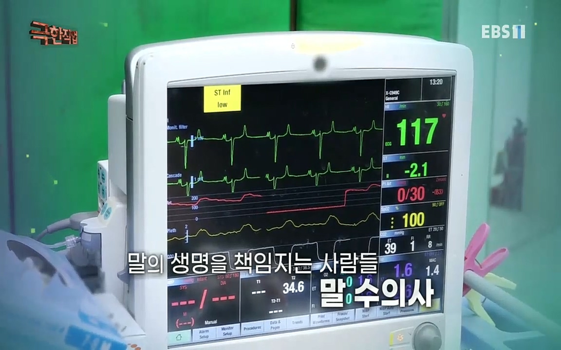 TV - 교육의 중심 EBS동물들을 지켜라, 수의사와 유기 동물 구조팀.mp4_20220913_200141.298.jpg