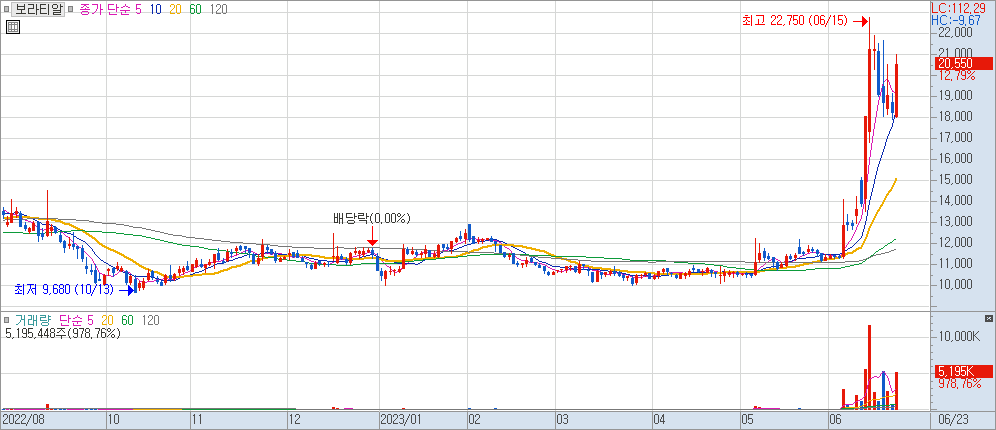 보라티알 차트 2023.06.23