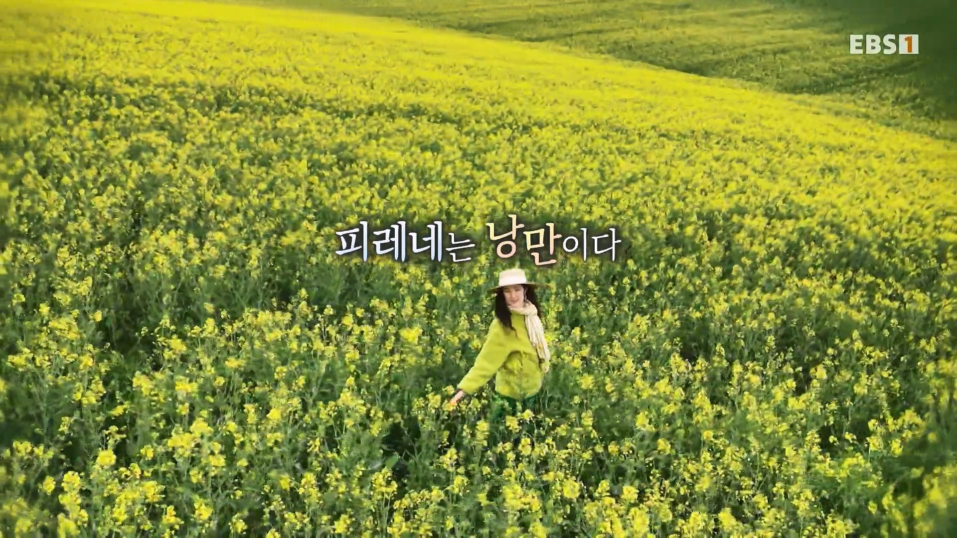 세계테마기행 231225 피레네 낭만 가도(歌道) -요정의 길을 따라, 비뉴말 트레킹0p.mp4_20240628_202950.597.jpg