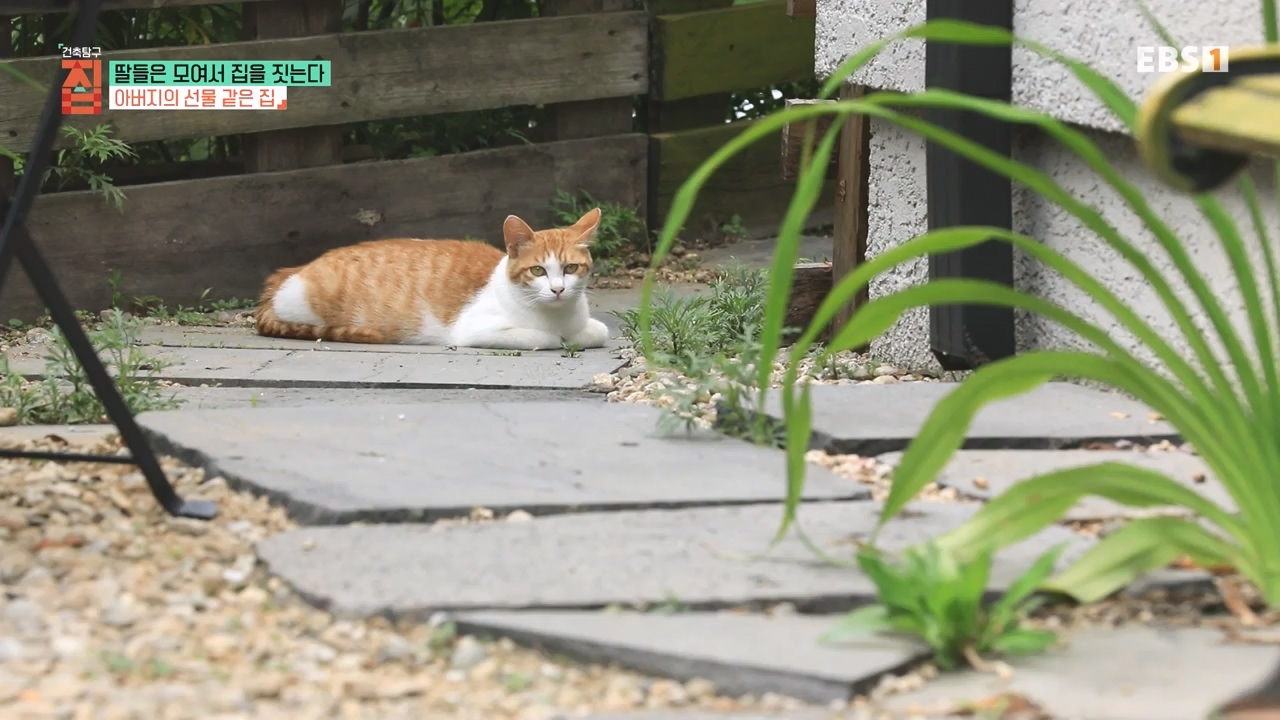 TV - 전 국민의 평생학교 EBS딸들은 모여서 집을 짓는다.mp4_20230825_210338.135.jpg