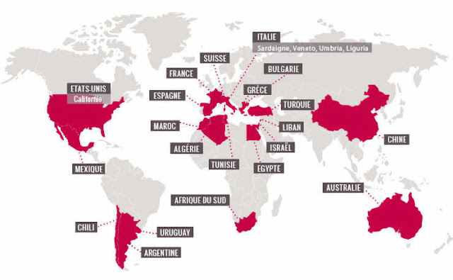 전 세계의 그르나슈 재배지 지도