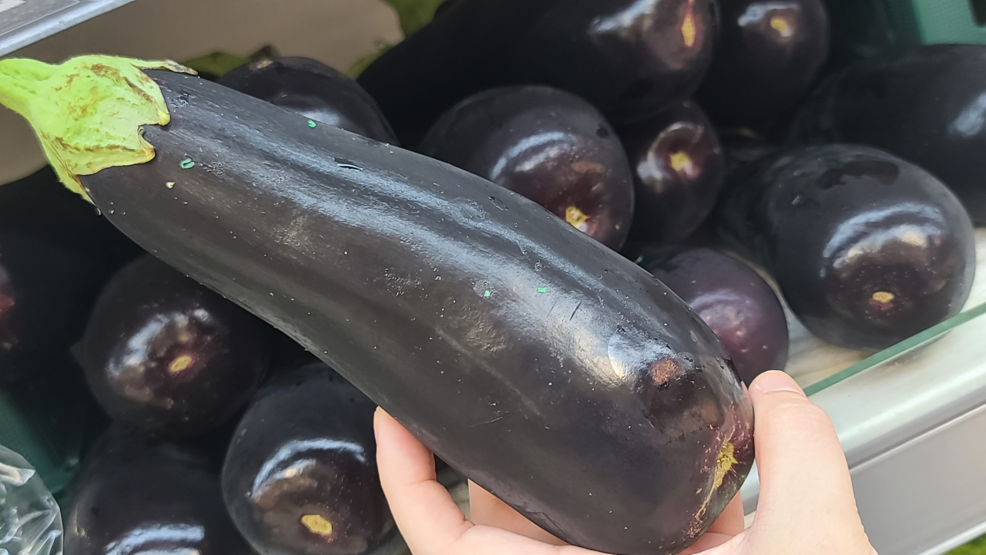  가지 효능 / 가지 부작용 / 가지 칼로리