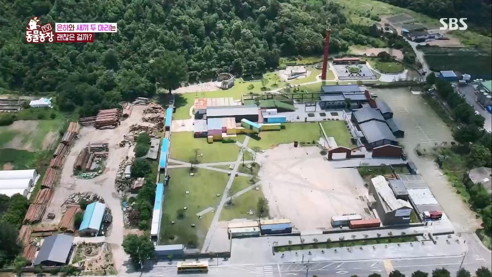 TV 동물농장.E1127.230702p.H264-F1RST.mp4_20230704_212713.254.jpg