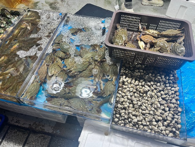신알쌈쭈꾸미가 이미지
