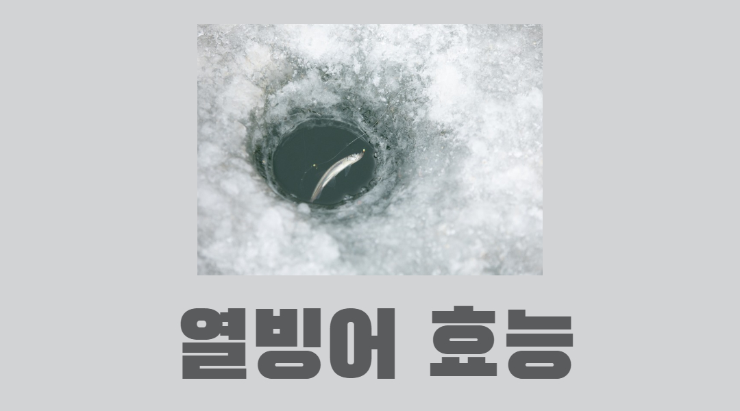  나만 모르는 열빙어 효능