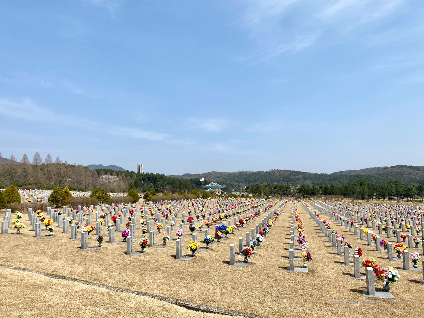 대전현충원-둘레길-봄산책