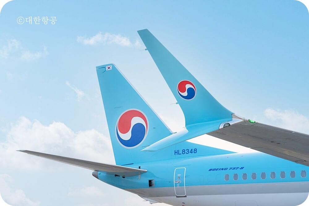 대한항공 B737-8 여객기의 후방동체와 파란 하늘을 찍은 사진
