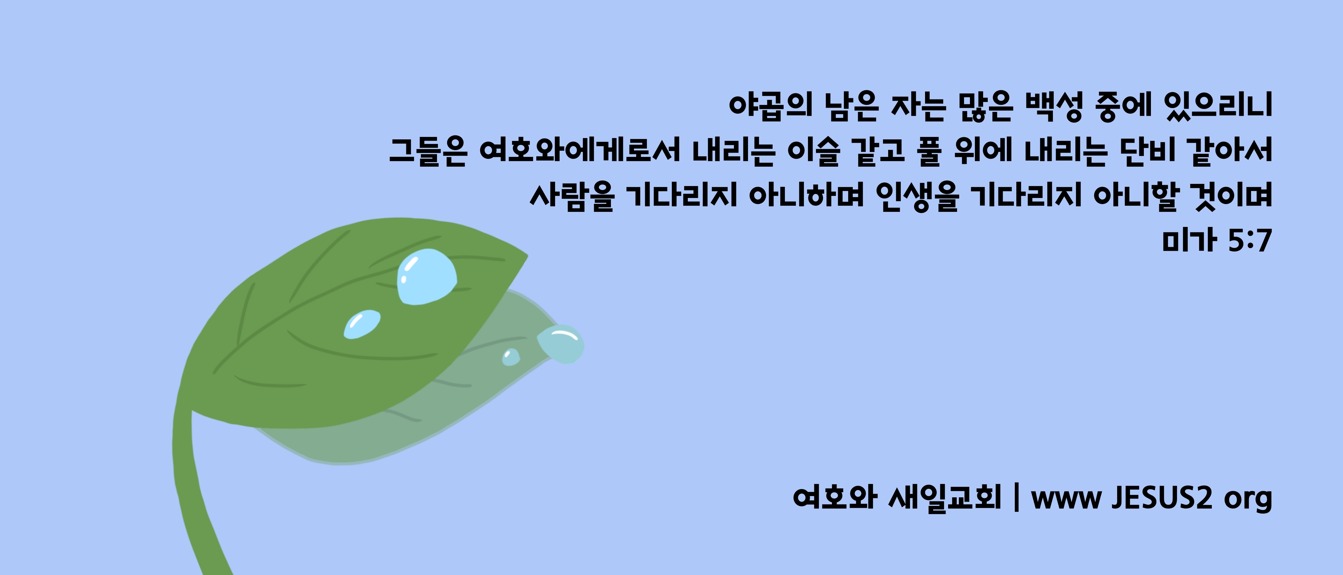  새일교회 난구절특강 | 117. 성전 밖 마당은 척량하지 말라 (계 11:2)