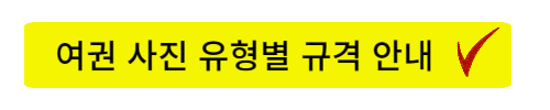 여권 재발급 온라인 신청 3