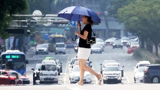 전국 곳곳에 폭염특보가 발효된 지난 28일 오후 대구 달구벌대로에서 뙤약볕을 피해 양산을 쓴 시민이 아지랑이가 피어오르는 도로를 건너고 있다. 뉴스1
