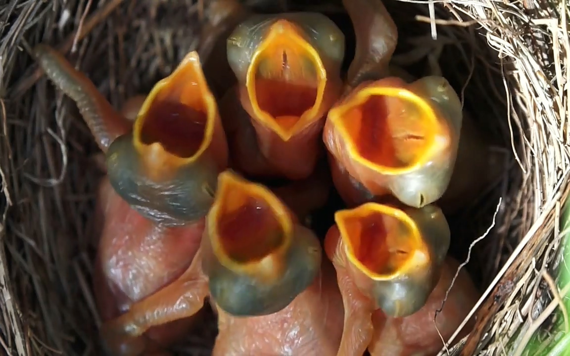 생존 3부_ EBS 다큐프라임_ 220629.avi_20220701_210746.713.jpg