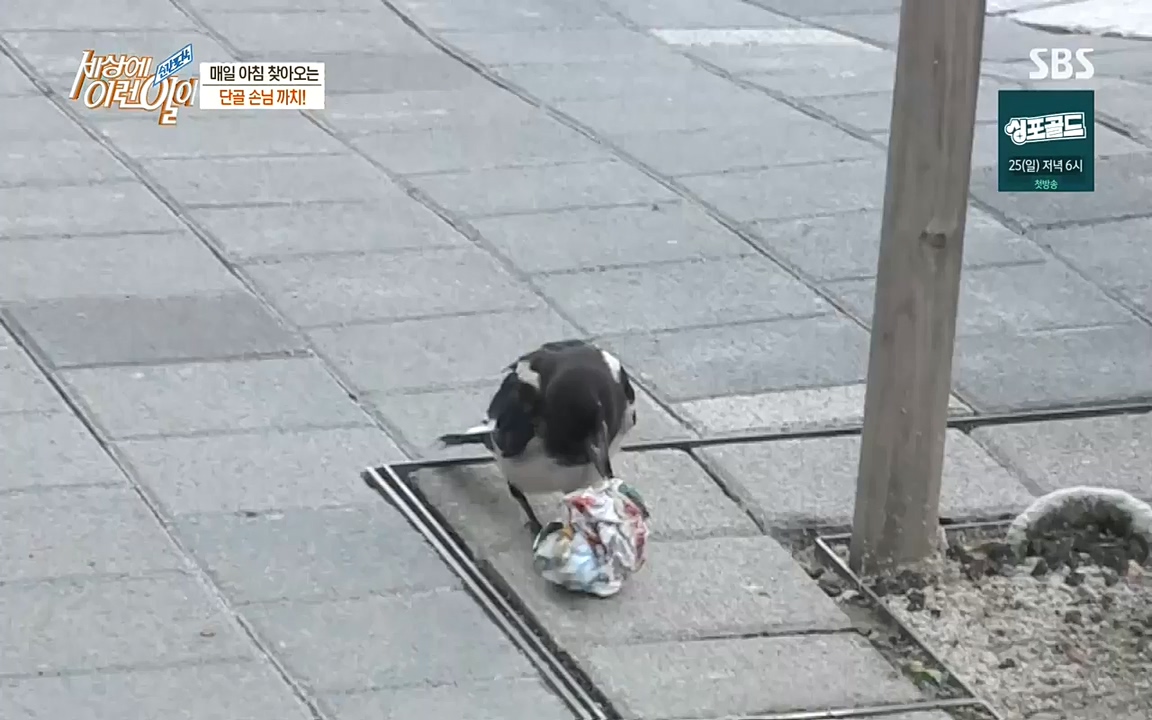순간포착 세상에 이런일이.E1198.220920.H265p-BULDU.mp4_20220921_201952.353.jpg