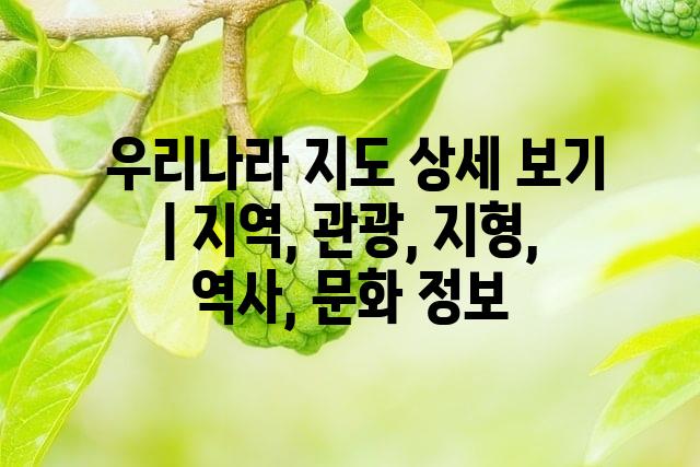 랜덤225