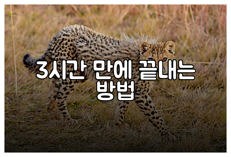 3시간 만에 끝내는 방법