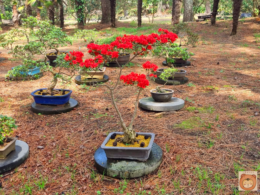 한림공원