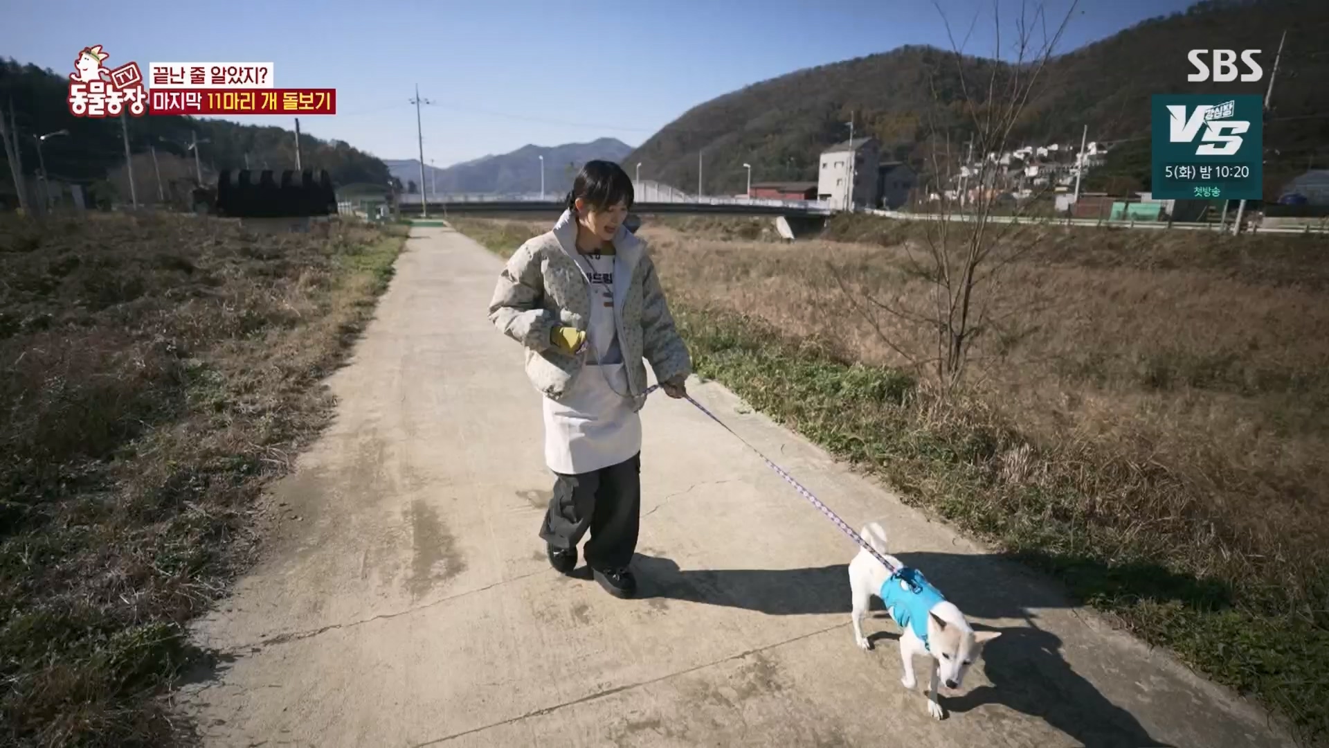 TV 동물농장.E1148.231203p.H264-F1RST.mp4_20231203_165841.216.jpg