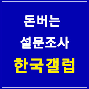 돈버는 설문조사 한국갤럽패널