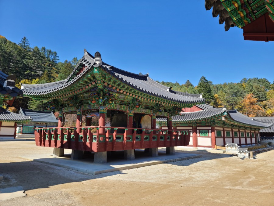 백담사 단풍 멋지다 ( 셔틀버스안내 ) 강원도 인제 여행 / 설악산 23