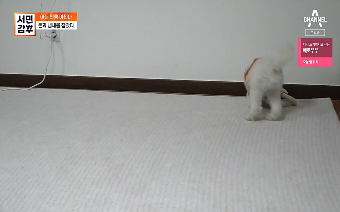 서민 갑부.E384.220522p-NEXT.mp4_20220522_184741.806.jpg