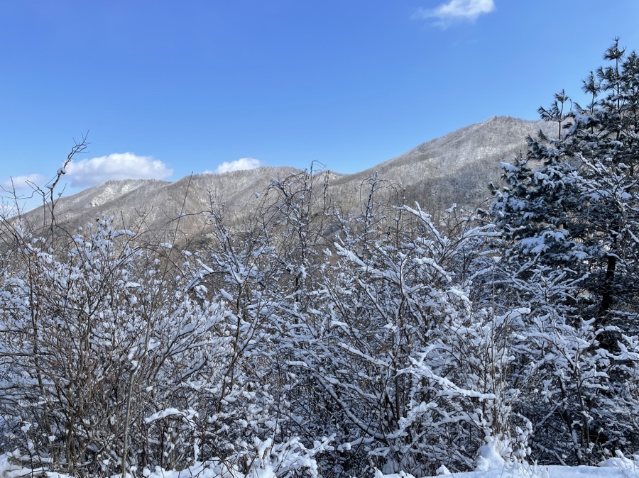 큐레이터 지리산 바래봉 눈꽃산행