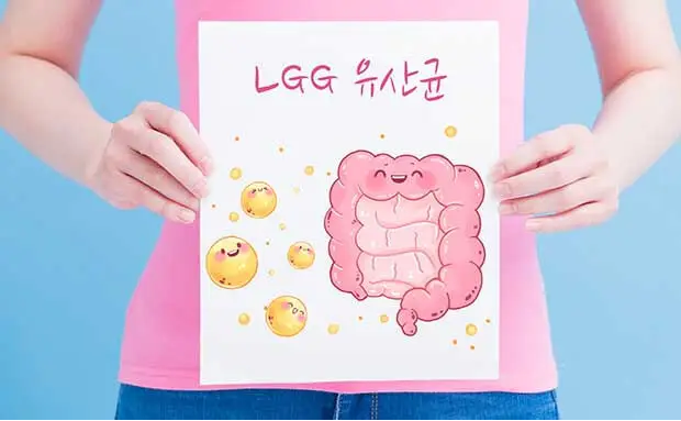 lgg 유산균 효능, 가격, 추천 (덴마크 유산균이야기)