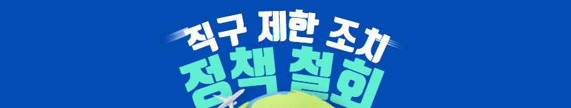  해외 직구 제한 철회: 정부의 유연한 대응과 시사점