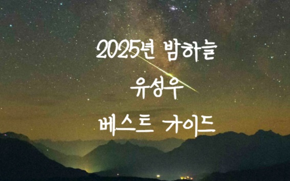 2025 별똥별 유성우 관측일