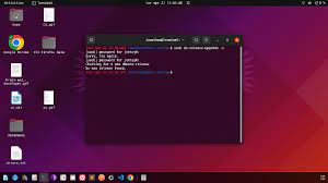  Ubuntu 우분투 무엇일까