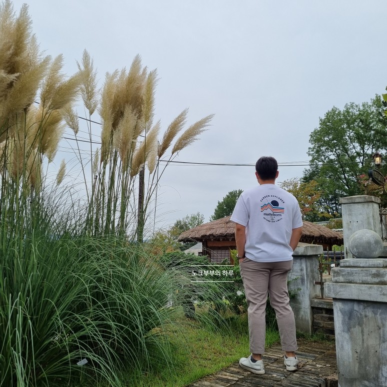 선샤인랜드포토존 미스터선샤인촬영지 84