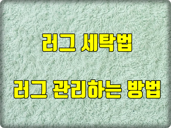 러그 세탁법을 알아야 건강에 도움이 됩니다 러그 세탁법을 알아야 건강에 도움이 됩니다