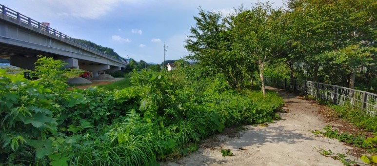 제진검문소 - 통일전망대 출입신고소 해파랑길 50코스 : 18