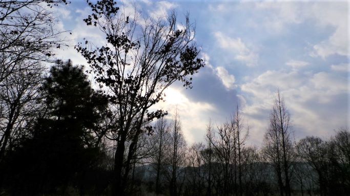 차가운 하늘에 꿈틀거리느 구름, 나무들 사이로 보이는 풍경,