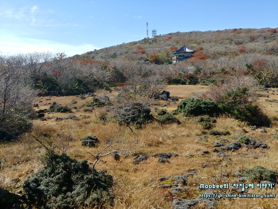 제주도 1100고지