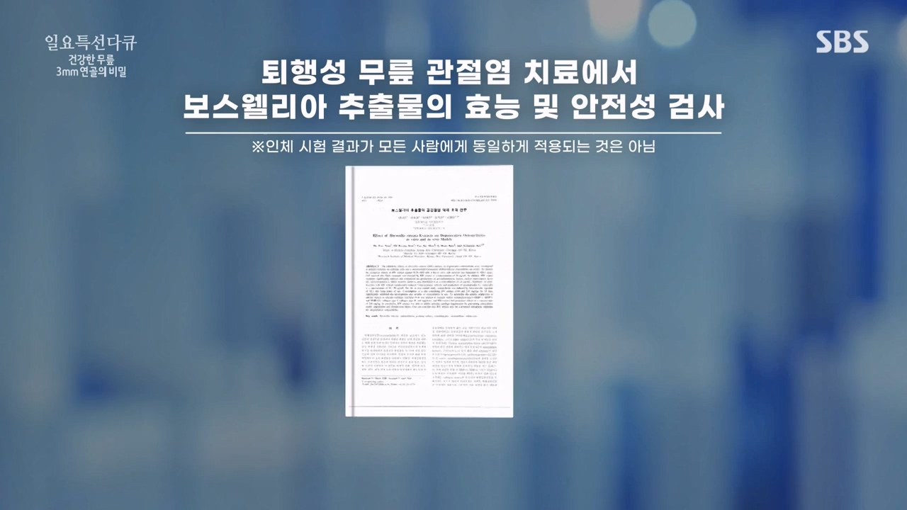 일요특선 다큐멘터리.E341.240318p-NEXT.mp4_20240317_190308.853.jpg