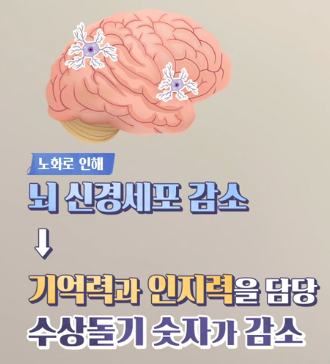 포스파티딜세린 효능