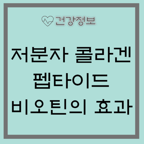 저분자 콜라겐 펩타이드 비오틴