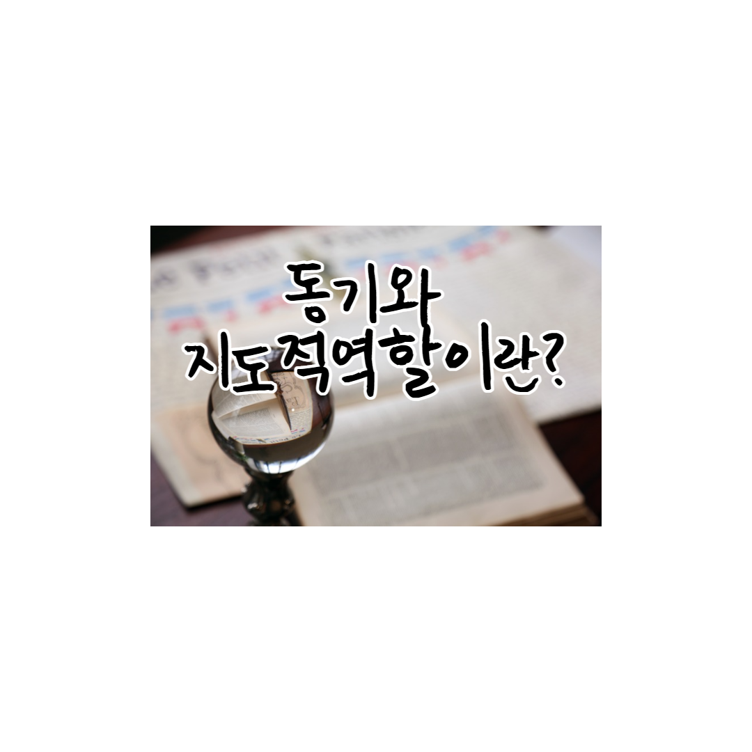  심리학:동기와 지도적 역할
